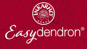 Logo Easydendron