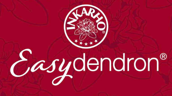 Logo Easydendron