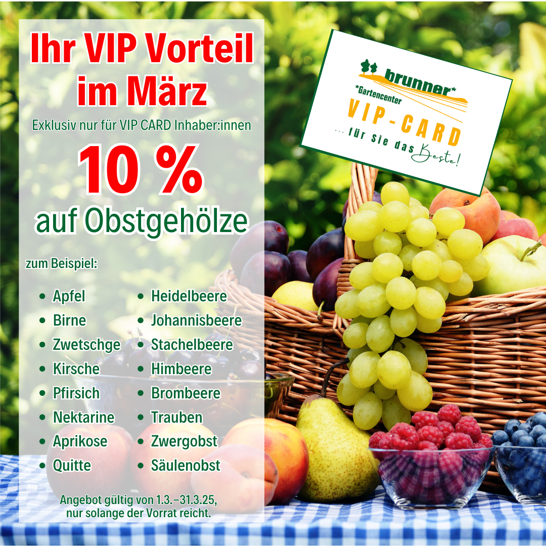 VIP Aktion März 25, 10% auf Obstgehölze