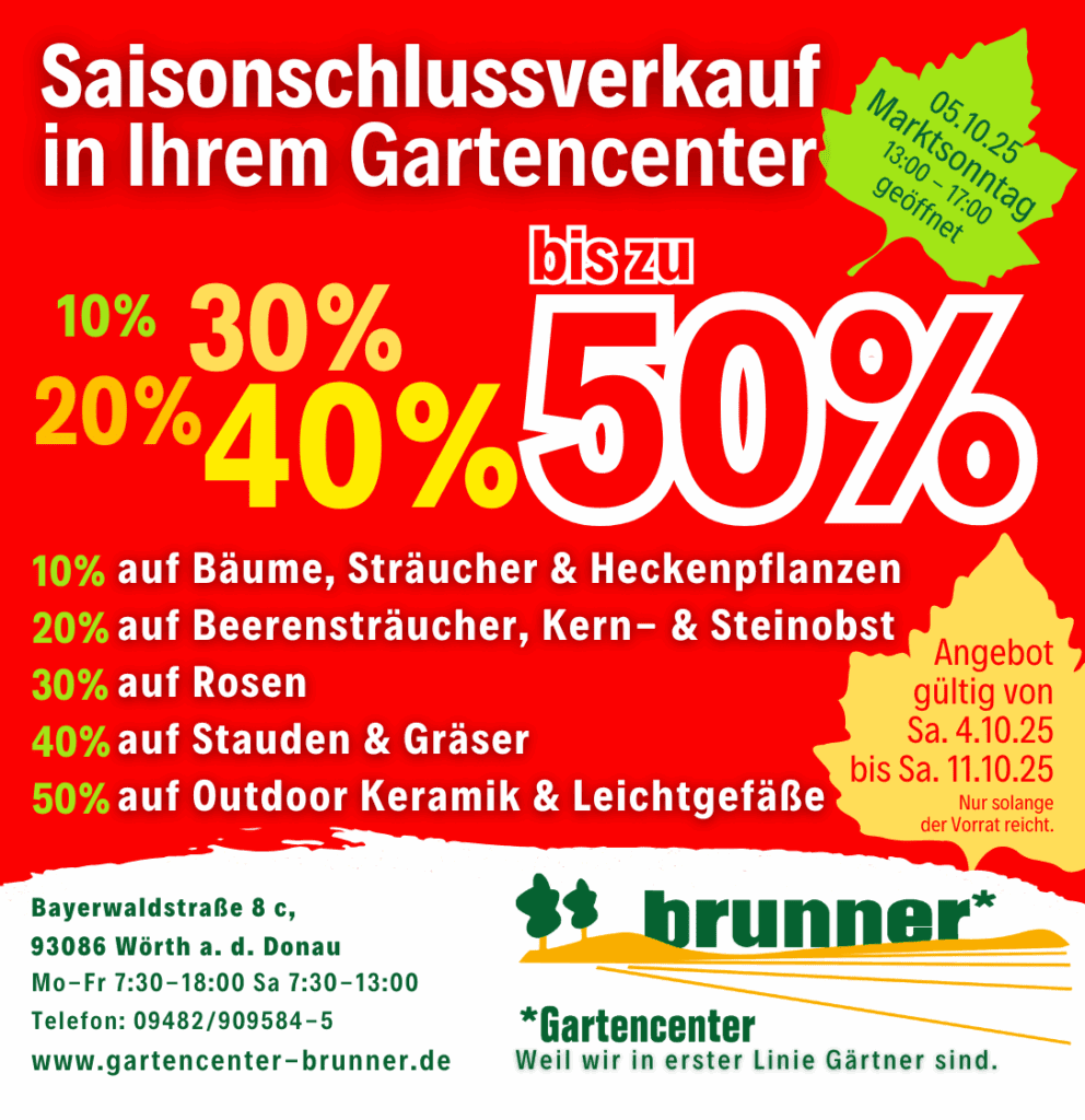 Marktsonntag bis zu 50%